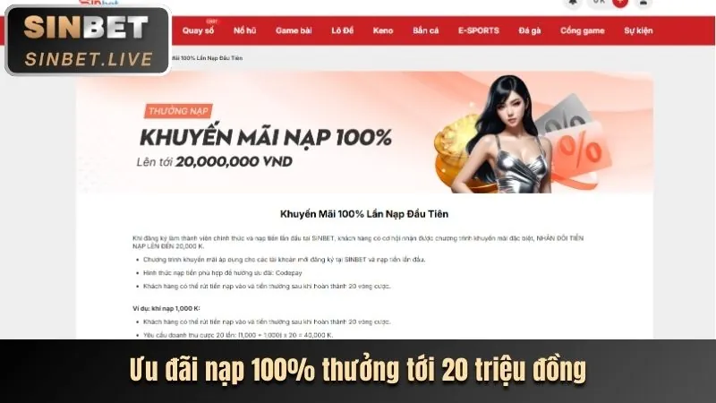 Banner quảng cáo khuyến mãi cá cược thể thao 3bet